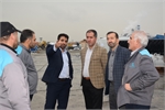 بازدید سرزده معاون برنامه‌ریزی و اقتصادی شرکت انبارهای عمومی و خدمات گمرکی ایران از شرکت تهران