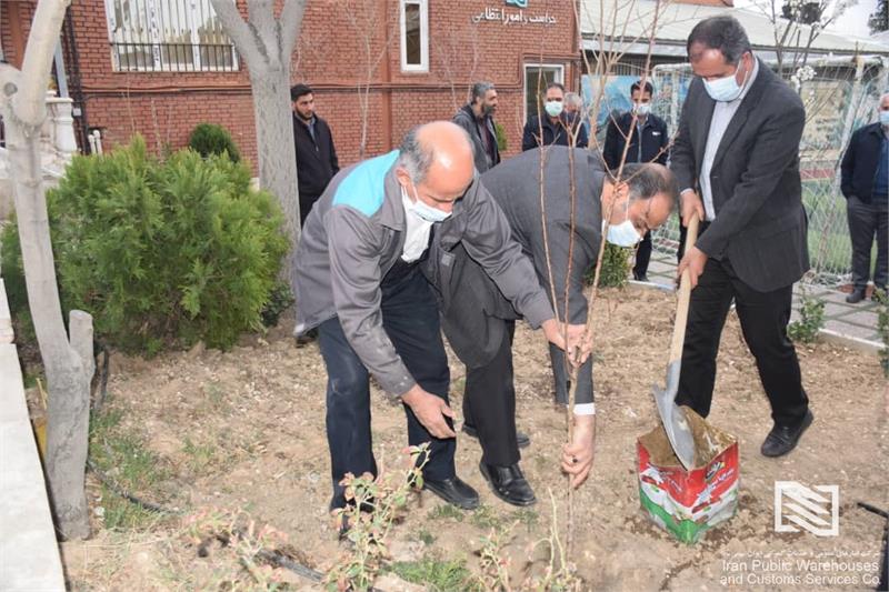برگزاری مراسم روز درخت‌کاری در شرکت انبارهای عمومی و خدمات گمرکی تهران